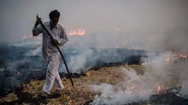 বায়ু দূষণের জন্য চাষিদের শাস্তি দেবে না আদালত