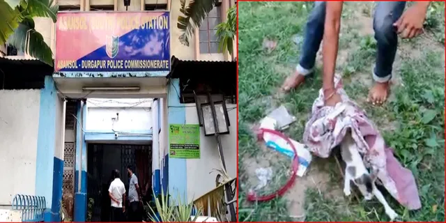 বর্বরচিত, বিরাল ছানাকে ছুঁড়ে হত্যার চেষ্টা কিশোরদের