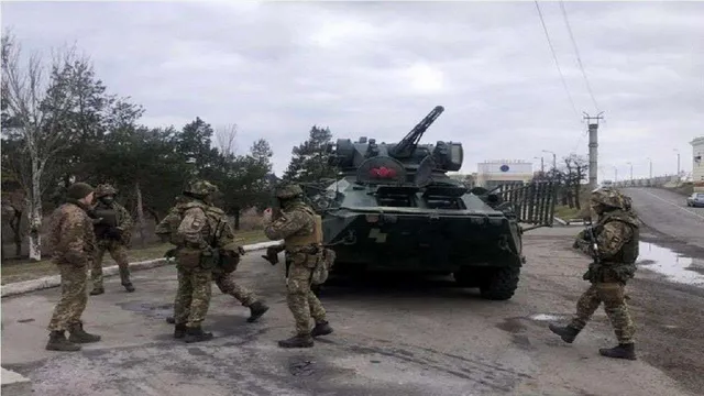 যুদ্ধ থামাতে কাতর অনুরোধ, দেখুন ভিডিও