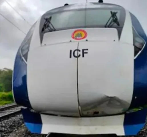 মোষের পর এবার গরুর ধাক্কা! ফের ‘ক্ষতিগ্রস্ত’ বন্দে ভারত এক্সপ্রেস