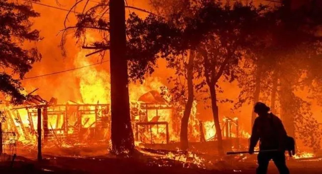 ইউরোপের কিছু অংশে দাবানল, প্রচণ্ড তাপে মৃত্যু শতাধিক