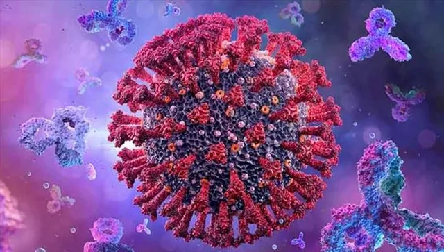 গত ২৪ ঘণ্টায় রাজ্যে করোনা আক্রান্ত ৪৩৬, মৃত ৬