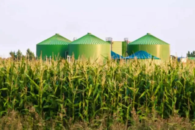 মাদক থেকে শক্তি উৎপাদন পুলিশের