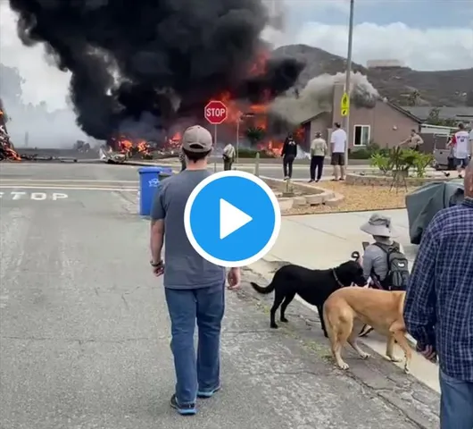 মার্কিন মুলুকে ভয়াবহ বিমান দুর্ঘটনা, মৃত বহু, দেখুন ভিডিও