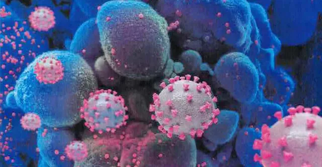 দেশে ওমিক্রন আক্রান্ত সাড়ে তিনশোর বেশি!