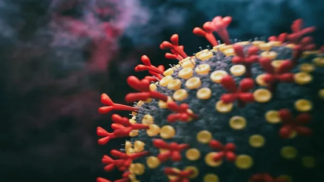 পুদুচেরীতে জারি নৈশ কার্ফু!