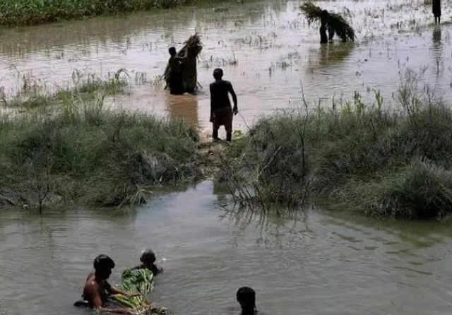সিন্ধুর বন্যা কবলিত এলাকায় কৃষকদের সাহায্য করবে বিশ্বব্যাংক