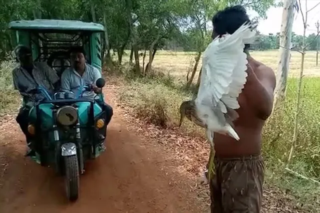 পাখি শিকারিদের দৌরাত্ম্য বেড়ে চলেছে দাসপুরে