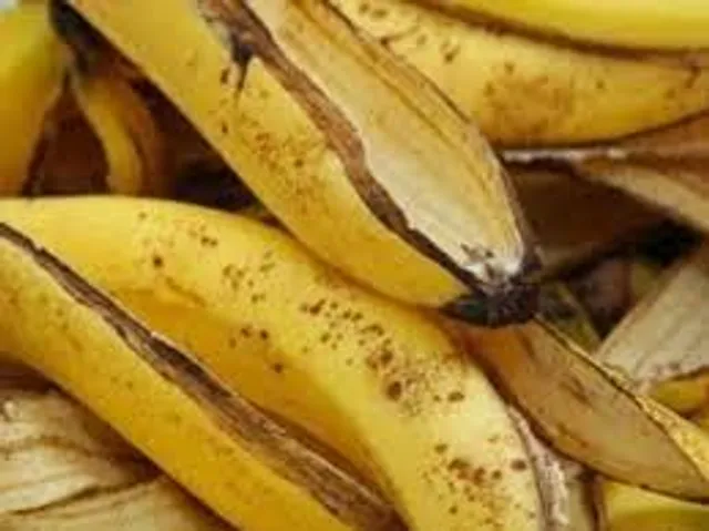 রূপচর্চায় কাজে লাগান ফলের খোসা