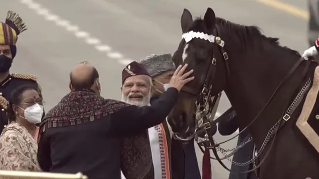 রাষ্ট্রপতির দেহরক্ষী ঘোড়া বিরাট আজ চাকরি থেকে অবসর নিল