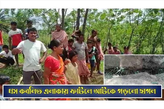 ইসিএলের ধস কবলিত এলাকায় ফাটলে আটকে ছাগল