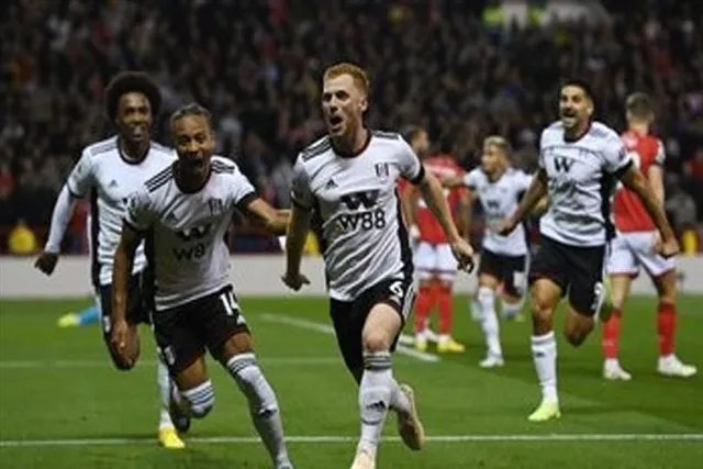 ভিডিওঃ অবিশ্বাস্য কিছু গোললাইন সেভ