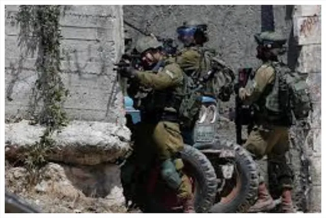 ইসরাইলি সেনাদের হামলায় ৫ ফিলিস্তিনি নিহত