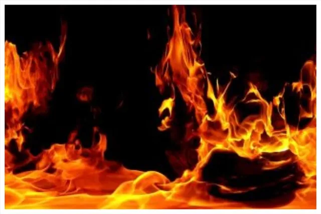 শিলিগুড়িতে ভয়াবহ অগ্নিকান্ড