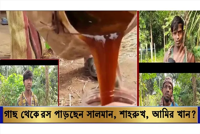 চোখের নিমেষে খেজুর গাছে উঠছেন শাহরুখ, আমির ও সালমান খান,কোন সিনেমার শুটিং না জীবনের চিত্রনাট্য