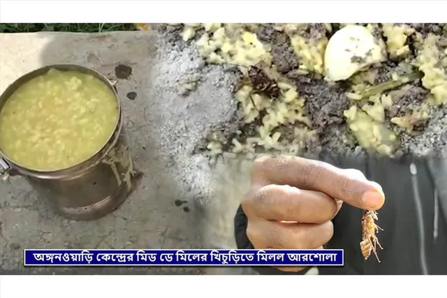 অঙ্গনওয়াড়ি কেন্দ্রের মিড ডে মিলের খিচুড়িতে মিলল আরশোলা