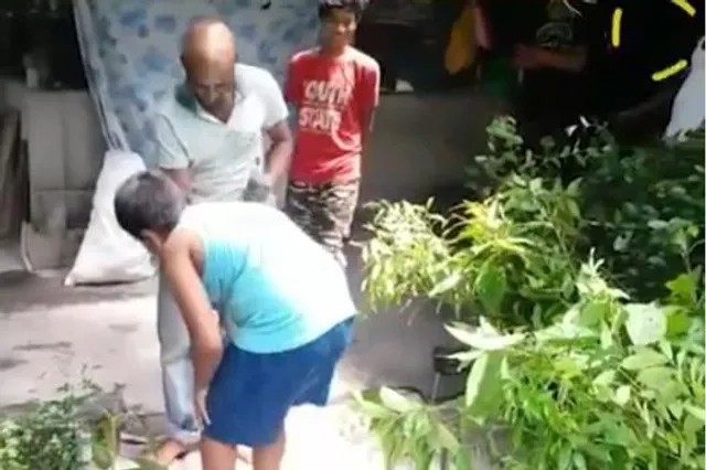 জন্মদিনে গাছ লাগানোর আবেদন চতুর্থ শ্রেণির এক ছাত্রের
