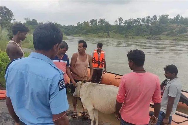ফিরিয়ে আনা হল আটকে পড়া অবলা জীবগুলোকে