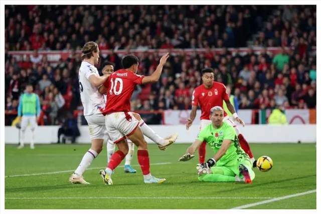 অক্সিজেন পেল ফরেস্ট