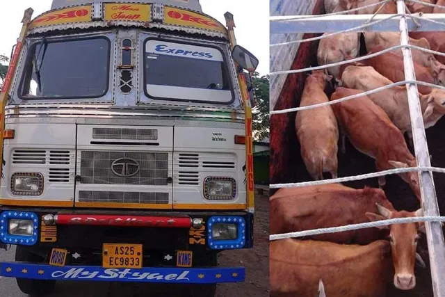 গরু পাচার রুখলো পুলিশ