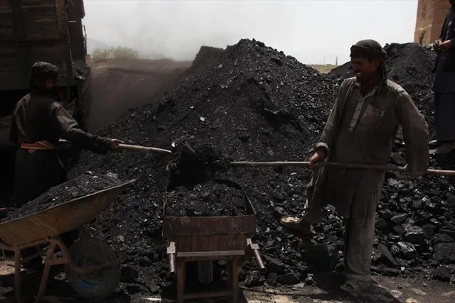 কয়লাকাণ্ডে ২৪০০ কোটি টাকার দুর্নীতি হয়েছে: শুভেন্দু অধিকারী