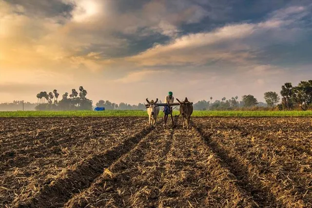 কৃষকদের কল্যাণে এবার কেন্দ্র আনল 'NANO DAP'