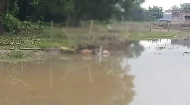 প্রবল বৃষ্টির জের, ডেবরায় ক্যানেল থেকে মৃতদেহ উদ্ধার ঘিরে চাঞ্চল্য