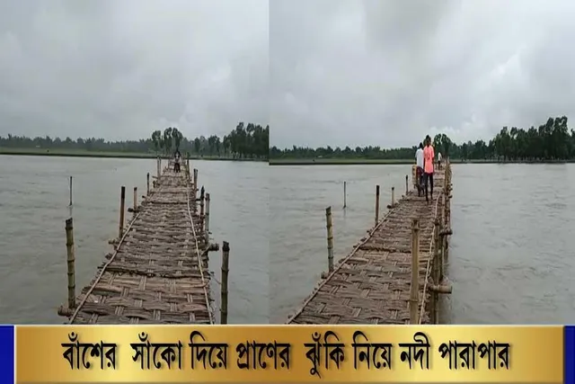 বাঁশের সাঁকো দিয়ে প্রাণের ঝুঁকি নিয়ে নদী পারাপার