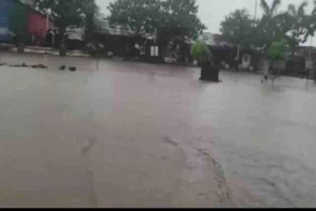 ভারী বৃষ্টিতে ভাসলো পালগড়