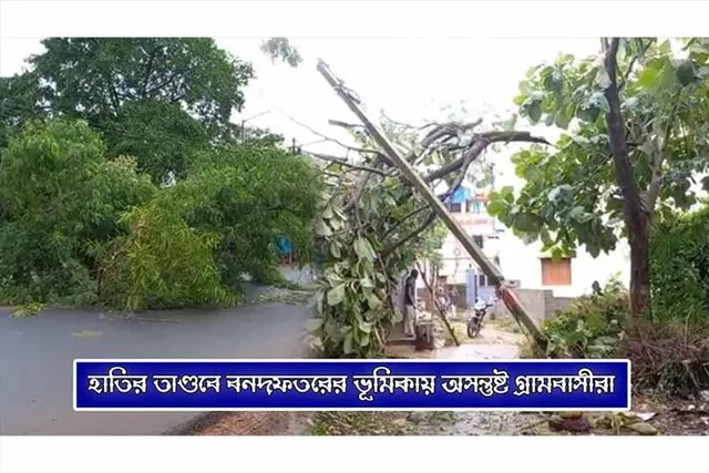 ঝড়ে গাছ পড়ে বিপত্তি, ব্যাহত যান চলাচল