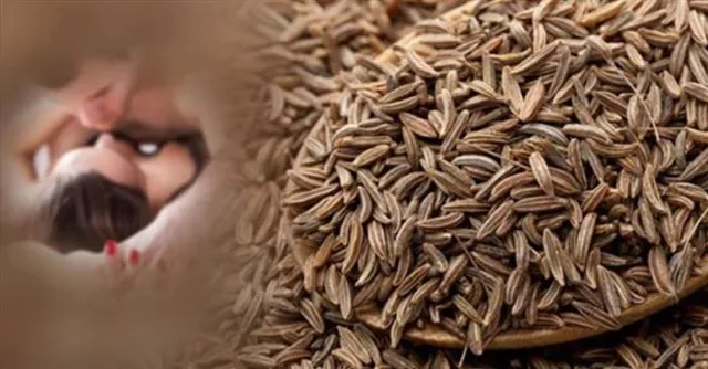 যৌন জীবনে উত্তেজনা আনতে পারে জিরের গুন