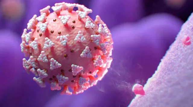 গত ২৪ ঘণ্টায় রাজ্যে করোনা আক্রান্ত ৬৪