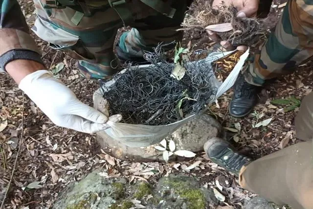 দুশোর বেশি বিস্ফোরক উদ্ধার পুঞ্চে