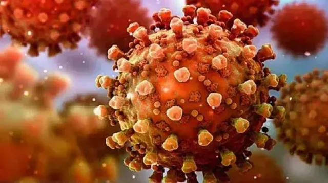 গত ২৪ ঘণ্টায় রাজ্যে নতুন করে করোনা আক্রান্ত ৪৩৬, মৃত ৩