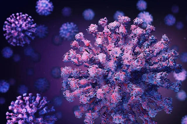 কিছুটা কমল দেশের দৈনিক সংক্রমণ, বিপুল কমল মৃত্যু সংখ্যা