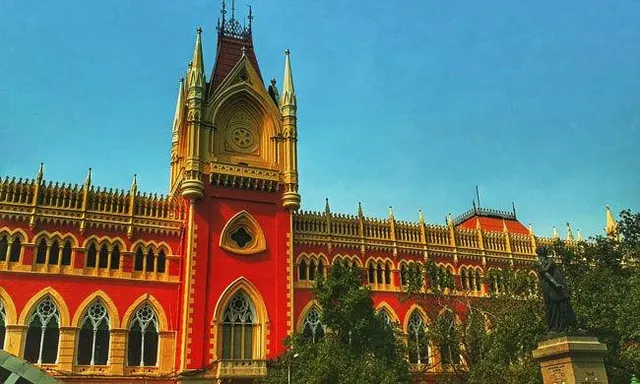সাইবার মামলায় অন্য আইনজীবী কেন?