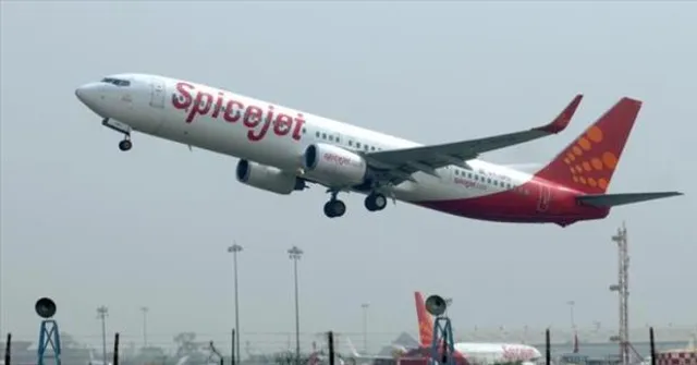 কলকাতায় অবতরণের সময় স্পাইস জেটের বিমানে পাখির ধাক্কা