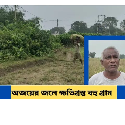 জলের তলায় একাধিক চাষের জমি, মাথায় হাত কৃষকদের