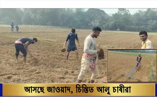 সিঁদুরে মেঘ, মাথায় চিন্তার হাত আলু চাষীদের