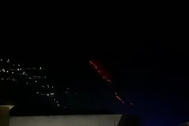 আগুনে পুড়ল বৈষ্ণোদেবী মন্দির লাগোয়া শ্রীন ফরেস্ট