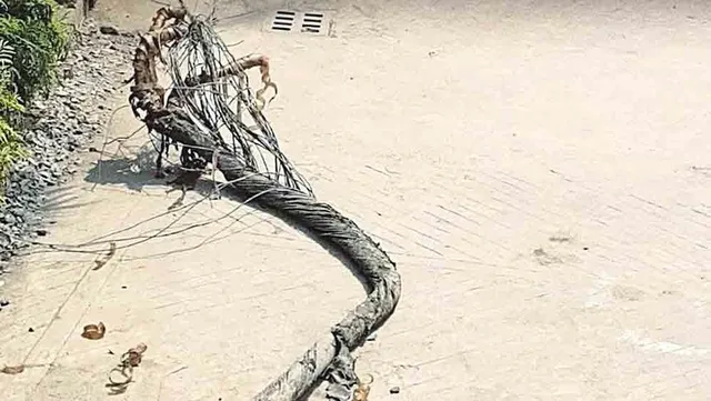 দশ লক্ষ টাকায় বিক্রি হল তামার তার