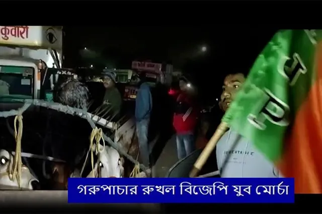 গরুপাচার রুখল বিজেপির যুব মোর্চা