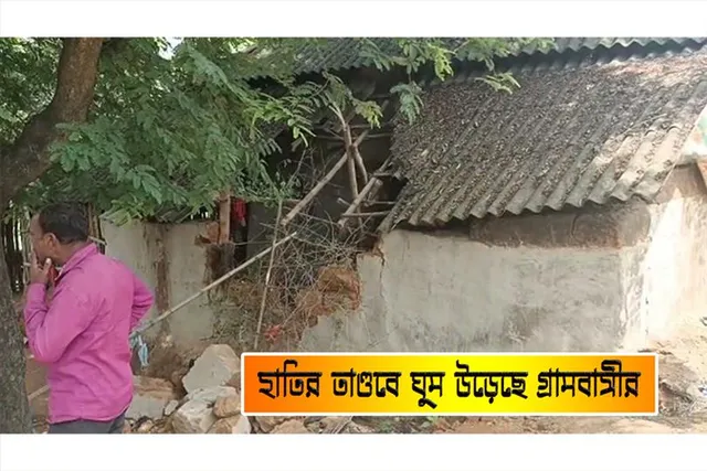 হাতির তাণ্ডবে ঘুম উড়েছে গ্রামবাসীর