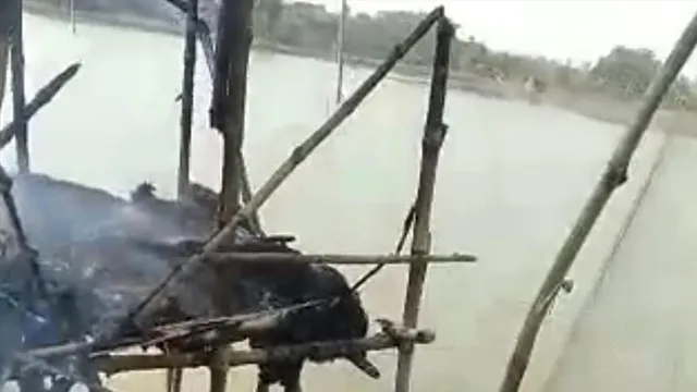 বিজেপি সভানেত্রীর মাছের ভেড়িতে হামলার অভিযোগে কাঠগড়ায় তৃণমূল