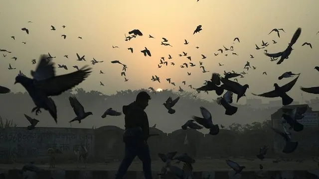 পিছু ছাড়ছে না দুর্যোগ!