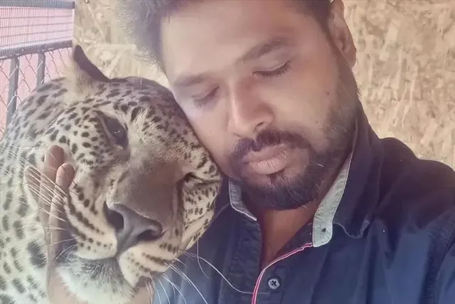 যুদ্ধের কারণে পোষা জাগুয়ারের থেকে এখন আলাদা ভারতীয় ডাক্তার