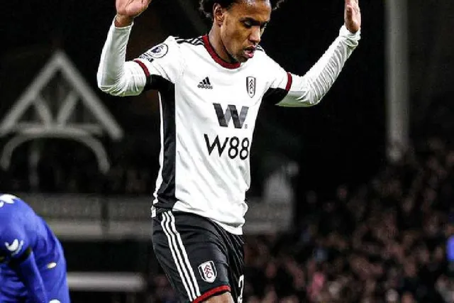 প্রথম গোল ফুলহামের