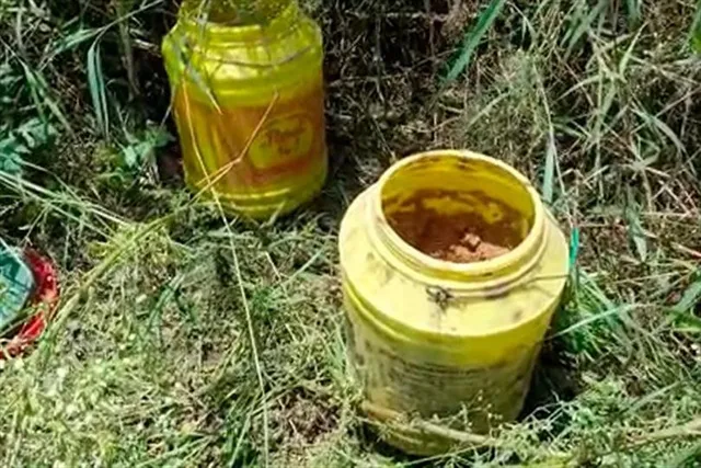 পঞ্চায়েত ভোটের আগে ফের উদ্ধার বোমা