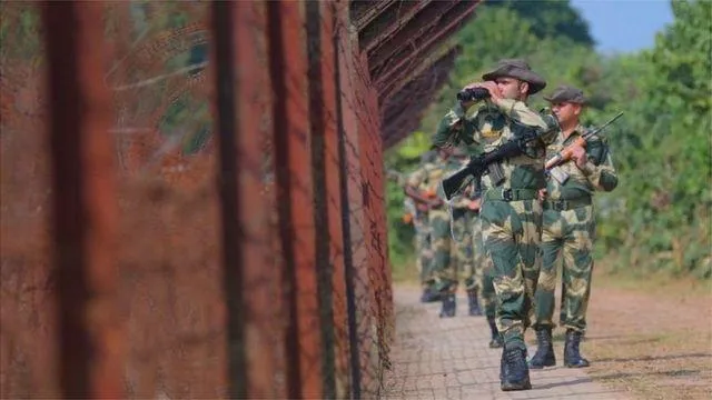 সীমান্তে গরুপাচার রুখল বিএসএফ