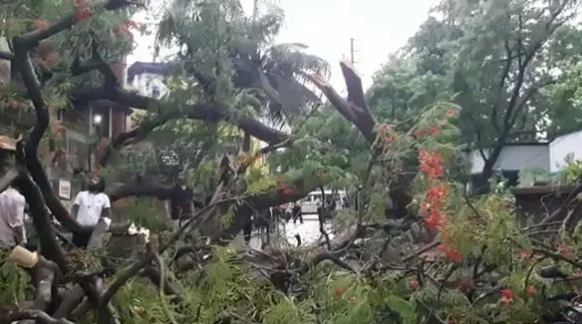 কালবৈশাখীর দাপট